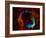 SAO: RCW 86-null-Framed Photographic Print