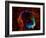 SAO: RCW 86-null-Framed Photographic Print