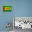 Sao Tome And Principe Flag Design with Wood Patterning - Flags of the World Series-Philippe Hugonnard-Premium Giclee Print displayed on a wall