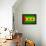 Sao Tome And Principe Flag Design with Wood Patterning - Flags of the World Series-Philippe Hugonnard-Framed Stretched Canvas displayed on a wall