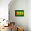 Sao Tome And Principe Flag Design with Wood Patterning - Flags of the World Series-Philippe Hugonnard-Framed Stretched Canvas displayed on a wall