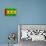 Sao Tome And Principe Flag Design with Wood Patterning - Flags of the World Series-Philippe Hugonnard-Framed Stretched Canvas displayed on a wall
