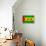 Sao Tome And Principe Flag Design with Wood Patterning - Flags of the World Series-Philippe Hugonnard-Framed Stretched Canvas displayed on a wall