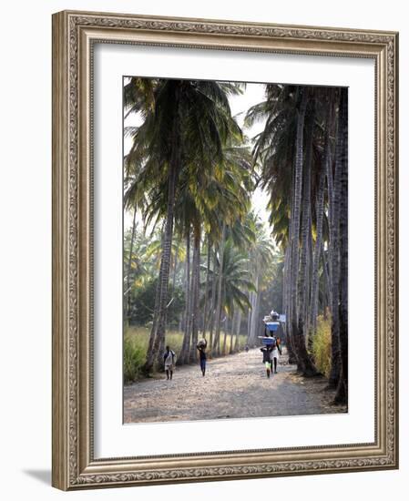 Sao Tomense Walk Through a Plantation Called 'Rio Do Ouro' in the North of the Island of Sao Tomé-Camilla Watson-Framed Photographic Print