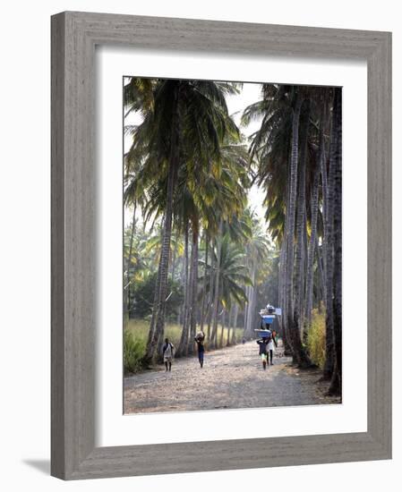 Sao Tomense Walk Through a Plantation Called 'Rio Do Ouro' in the North of the Island of Sao Tomé-Camilla Watson-Framed Photographic Print