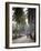 Sao Tomense Walk Through a Plantation Called 'Rio Do Ouro' in the North of the Island of Sao Tomé-Camilla Watson-Framed Photographic Print
