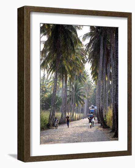 Sao Tomense Walk Through a Plantation Called 'Rio Do Ouro' in the North of the Island of Sao Tomé-Camilla Watson-Framed Photographic Print