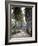 Sao Tomense Walk Through a Plantation Called 'Rio Do Ouro' in the North of the Island of Sao Tomé-Camilla Watson-Framed Photographic Print