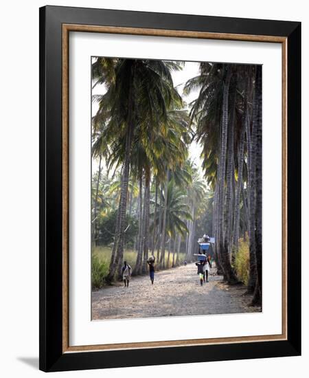 Sao Tomense Walk Through a Plantation Called 'Rio Do Ouro' in the North of the Island of Sao Tomé-Camilla Watson-Framed Photographic Print