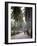 Sao Tomense Walk Through a Plantation Called 'Rio Do Ouro' in the North of the Island of Sao Tomé-Camilla Watson-Framed Photographic Print