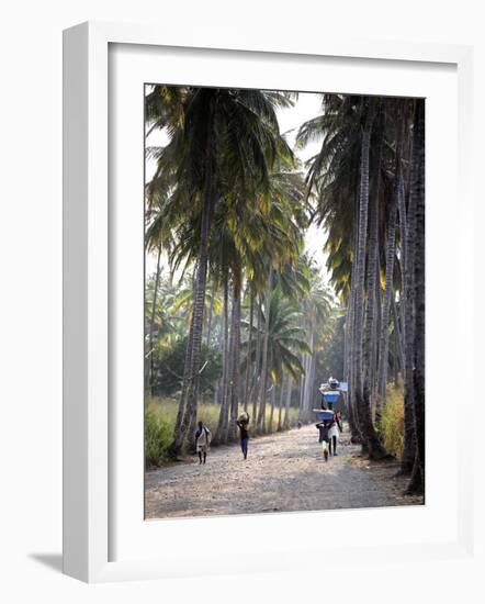 Sao Tomense Walk Through a Plantation Called 'Rio Do Ouro' in the North of the Island of Sao Tomé-Camilla Watson-Framed Photographic Print