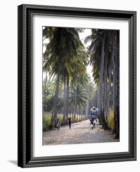 Sao Tomense Walk Through a Plantation Called 'Rio Do Ouro' in the North of the Island of Sao Tomé-Camilla Watson-Framed Photographic Print