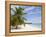 Saona Island, Dominican Republic, West Indies, Caribbean, Central America-Frank Fell-Framed Premier Image Canvas