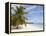 Saona Island, Dominican Republic, West Indies, Caribbean, Central America-Frank Fell-Framed Premier Image Canvas