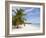 Saona Island, Dominican Republic, West Indies, Caribbean, Central America-Frank Fell-Framed Photographic Print