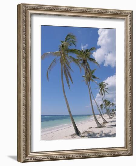 Saona Island, South Coast, Dominican Republic, Central America-Guy Thouvenin-Framed Photographic Print