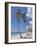 Saona Island, South Coast, Dominican Republic, Central America-Guy Thouvenin-Framed Photographic Print