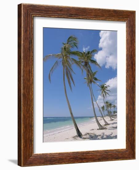 Saona Island, South Coast, Dominican Republic, Central America-Guy Thouvenin-Framed Photographic Print