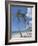 Saona Island, South Coast, Dominican Republic, Central America-Guy Thouvenin-Framed Photographic Print