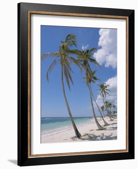 Saona Island, South Coast, Dominican Republic, Central America-Guy Thouvenin-Framed Photographic Print