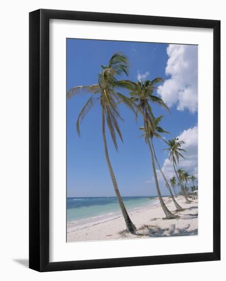 Saona Island, South Coast, Dominican Republic, Central America-Guy Thouvenin-Framed Photographic Print