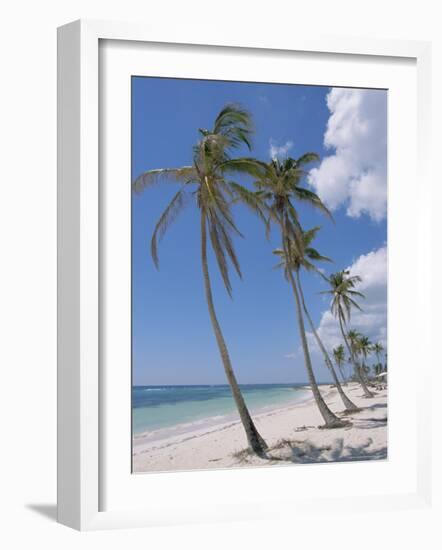 Saona Island, South Coast, Dominican Republic, Central America-Guy Thouvenin-Framed Photographic Print