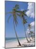 Saona Island, South Coast, Dominican Republic, Central America-Guy Thouvenin-Mounted Photographic Print