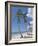 Saona Island, South Coast, Dominican Republic, Central America-Guy Thouvenin-Framed Photographic Print