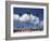 Saona Island, South Coast, Dominican Republic, Central America-Thouvenin Guy-Framed Photographic Print