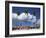 Saona Island, South Coast, Dominican Republic, Central America-Thouvenin Guy-Framed Photographic Print