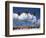 Saona Island, South Coast, Dominican Republic, Central America-Thouvenin Guy-Framed Photographic Print