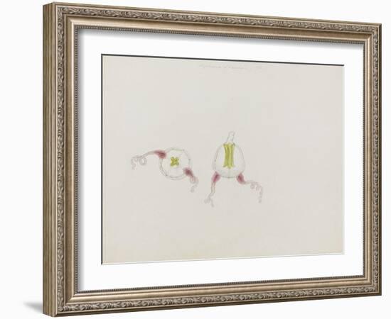 Saphenia Titania: Jellyfish-Philip Henry Gosse-Framed Giclee Print