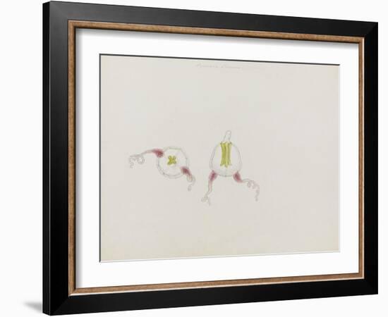 Saphenia Titania: Jellyfish-Philip Henry Gosse-Framed Giclee Print