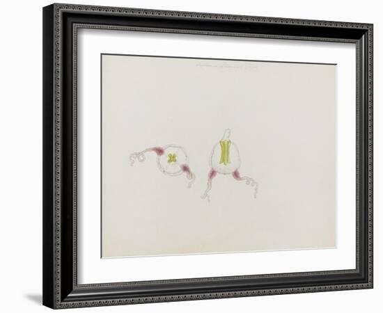 Saphenia Titania: Jellyfish-Philip Henry Gosse-Framed Giclee Print