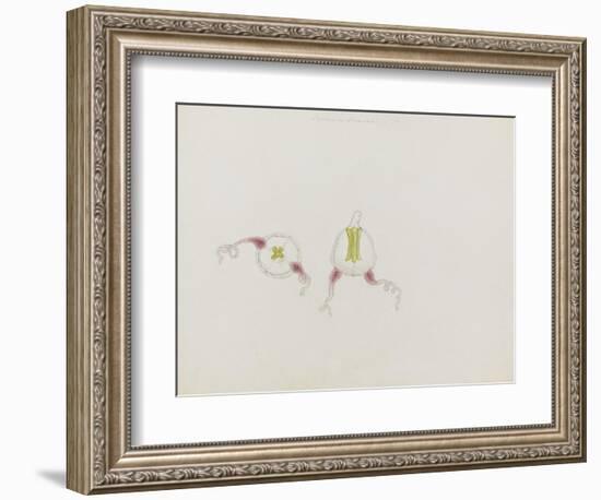 Saphenia Titania: Jellyfish-Philip Henry Gosse-Framed Giclee Print