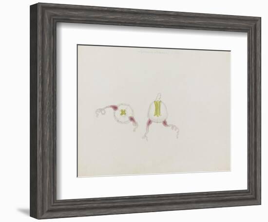 Saphenia Titania: Jellyfish-Philip Henry Gosse-Framed Giclee Print