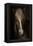 Sapience-Martine Benezech-Framed Premier Image Canvas