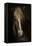 Sapience-Martine Benezech-Framed Premier Image Canvas