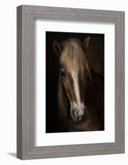 Sapience-Martine Benezech-Framed Photographic Print