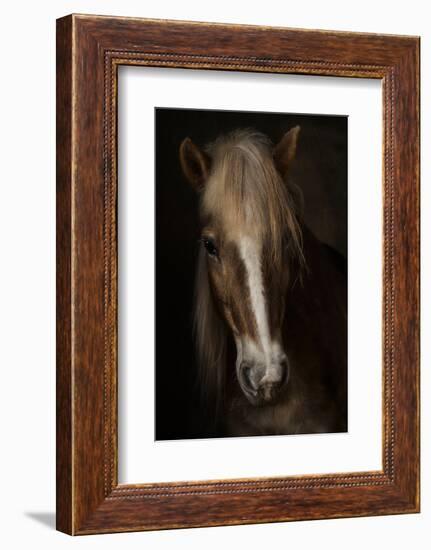 Sapience-Martine Benezech-Framed Photographic Print