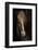 Sapience-Martine Benezech-Framed Photographic Print