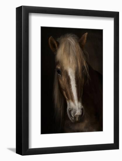 Sapience-Martine Benezech-Framed Photographic Print