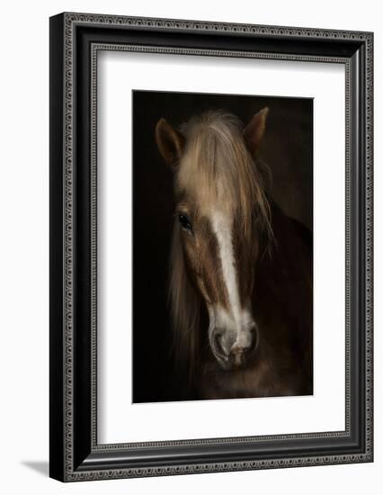 Sapience-Martine Benezech-Framed Photographic Print