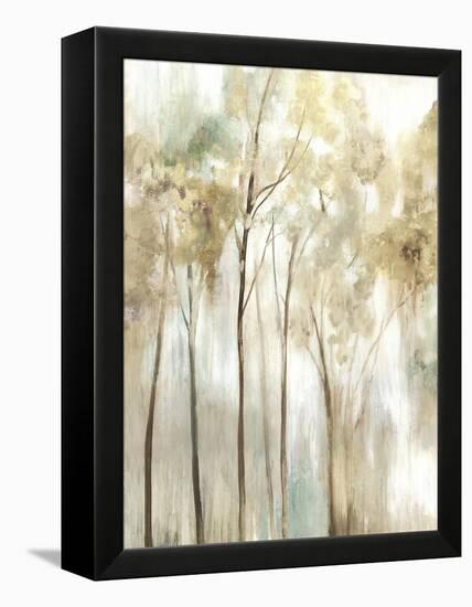 Sapling I-Allison Pearce-Framed Stretched Canvas