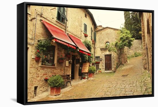 Sapori di Toscana-Les Mumm-Framed Stretched Canvas