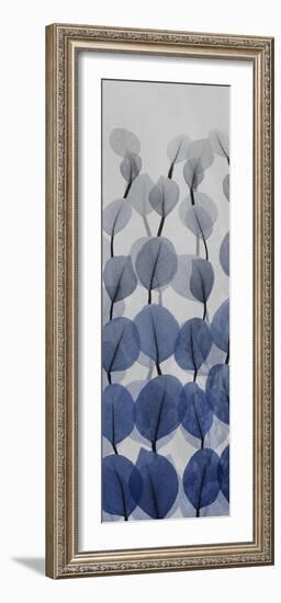 Sapphire Blooms 3-Albert Koetsier-Framed Photographic Print