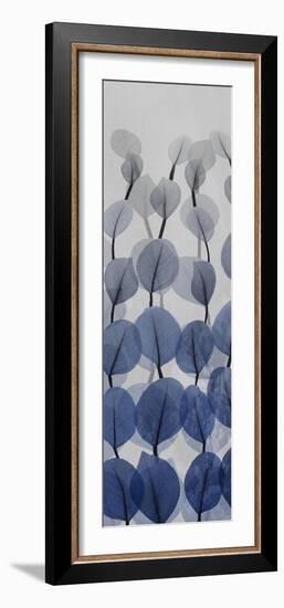 Sapphire Blooms 3-Albert Koetsier-Framed Photographic Print