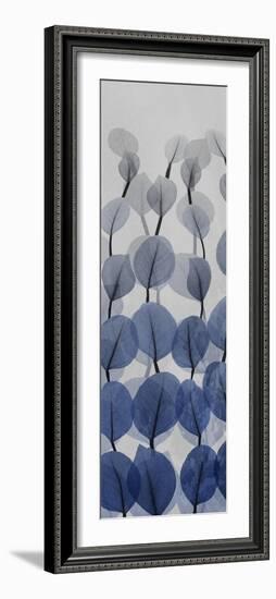 Sapphire Blooms 3-Albert Koetsier-Framed Photographic Print