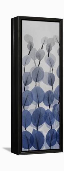 Sapphire Blooms 3-Albert Koetsier-Framed Premier Image Canvas