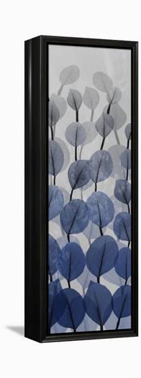 Sapphire Blooms 4-Albert Koetsier-Framed Premier Image Canvas